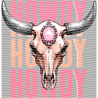 Country music-CM-505